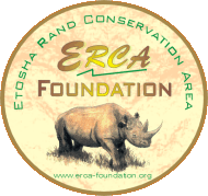 logo02